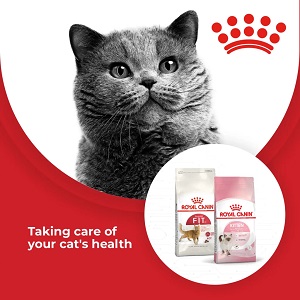 Cheapest place to buy royal hotsell canin cat food