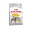 Royal Canin Maxi Dermacomfort Dog Food